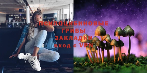 герыч Арсеньев
