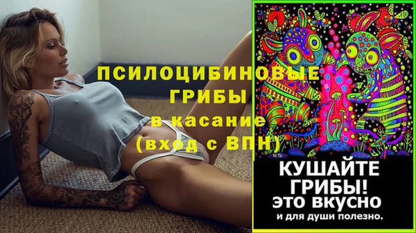 герыч Арсеньев