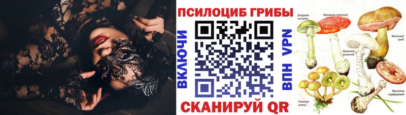 Псилоцибиновые грибы прущие грибы  Купить  Питкяранта 